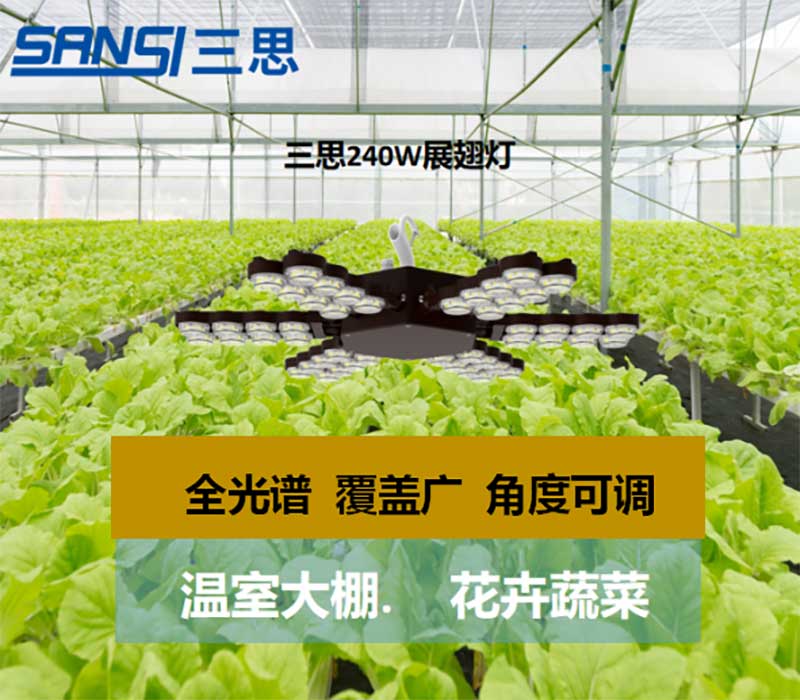 99精品国产兔费观看久久99植物生長燈（dēng）
