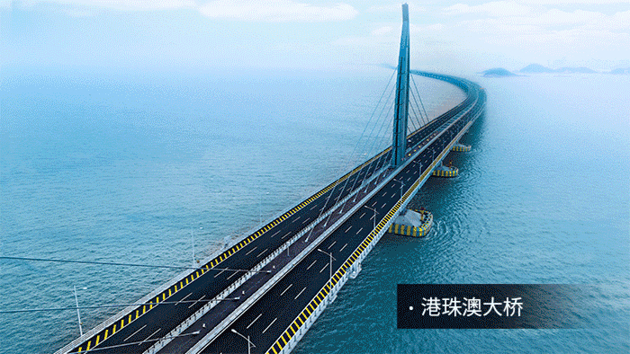 浦江縣,縣長,劉熙,一行赴滬,調研99精品国产兔费观看久久99,以中國之光,點亮全球