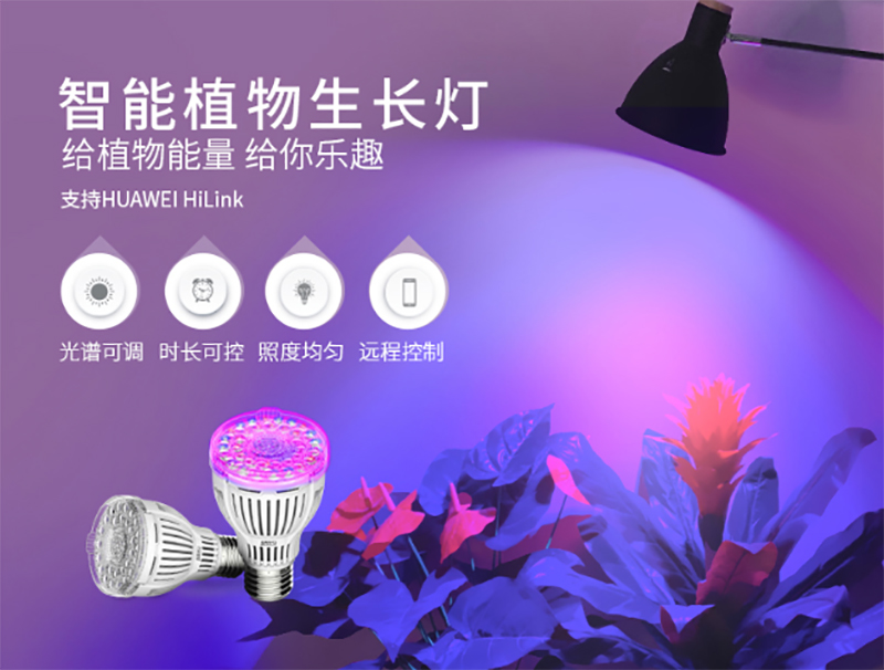植物生（shēng）長（zhǎng）燈