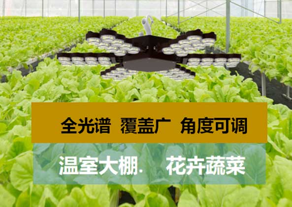LED顯（xiǎn）示屏,LED顯示屏廠家,LED照明（míng）廠家,照明解（jiě）決方案,顯示屏解決方案